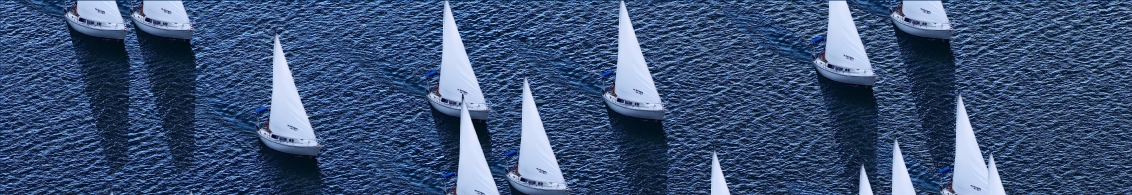Sailboats on the water